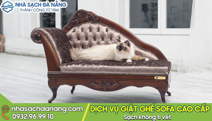 Ghế sofa dành riêng cho mèo