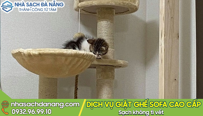 Trụ cào dành cho mèo