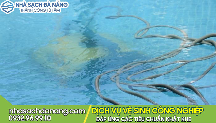 Dịch vụ vệ sinh bể bơi – khử trung nước