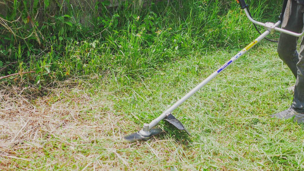 Bảng giá dịch vụ cắt cỏ tại Đà Nẵng